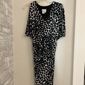 Fitted Dress with Belt